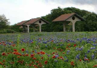 Goose Island Park