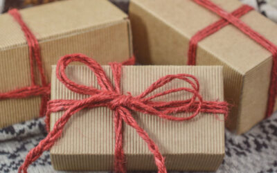 2020 Holiday Gift Guide